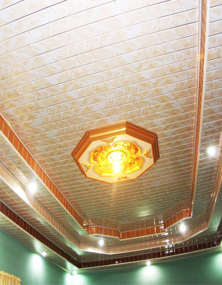 Pvc Professional Ceiling A Leading Supplier Installer Of